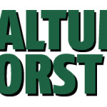 saltum_forst_logo